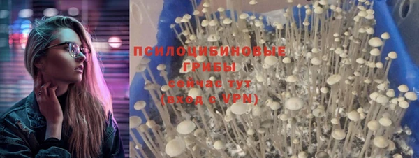 бошки Волосово