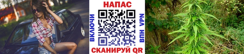 Конопля марихуана  Купить где  Ленск 
